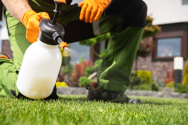 Best Affordable Pest Control Services  in Oak Ridge, TN