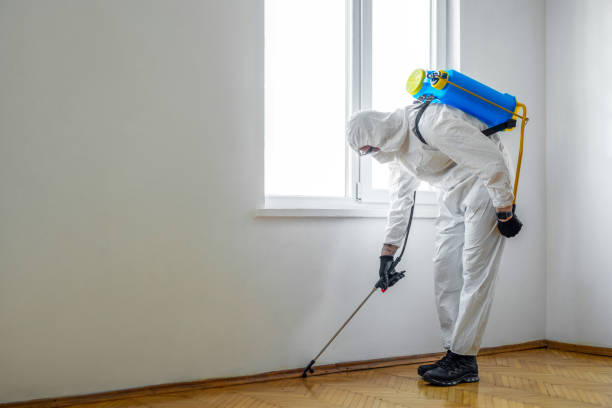 Best Wasp Removal Services  in Oak Ridge, TN