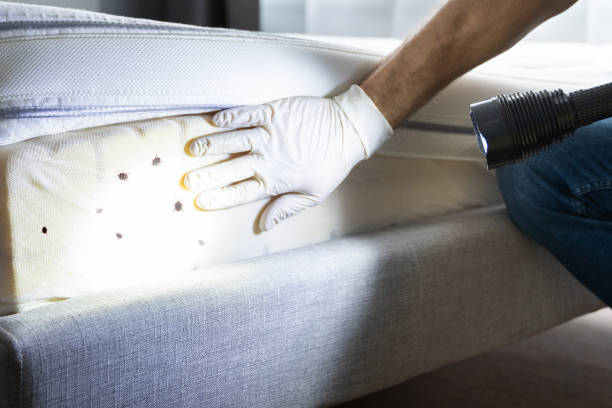 Best Pest Control for Businesses  in Oak Ridge, TN