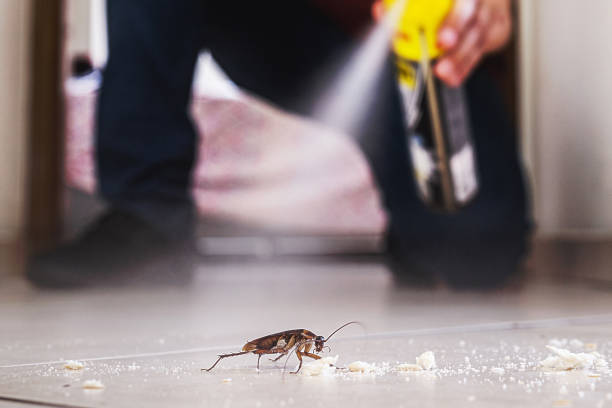 Best Ant Control Services  in Oak Ridge, TN