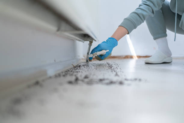Best Best Pest Control Companies  in Oak Ridge, TN